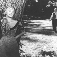 Foto Sorriso de uma Noite de Amor