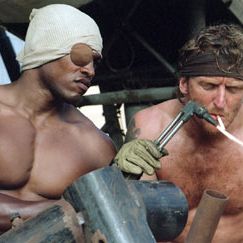 Foto O Vôo da Fênix