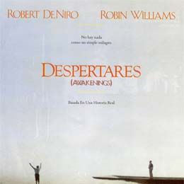 Foto Tempo de Despertar