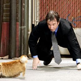 Foto Soltando os Cachorros