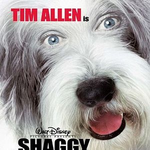 Foto Soltando os Cachorros