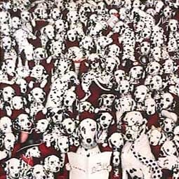 Foto Os 101 Dálmatas