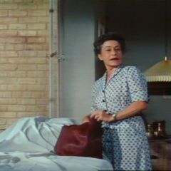 Foto Janela Indiscreta