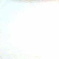 Foto Sabor da Paixão