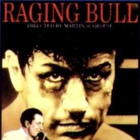 Foto Touro Indomável