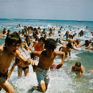 Foto Tubarão