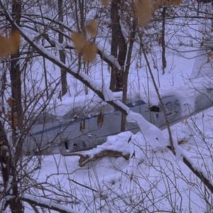 Foto Um Plano Simples