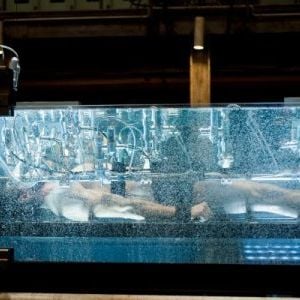 Foto X-Men Origens: Wolverine