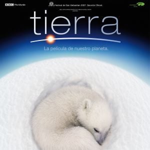 Foto Terra