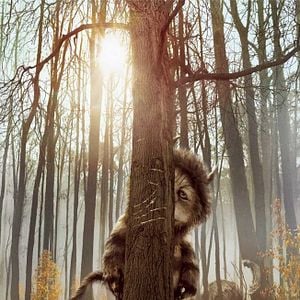 Foto Onde Vivem os Monstros