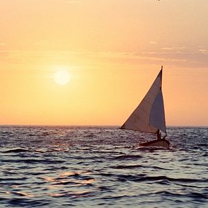 Foto Onde Vivem os Monstros