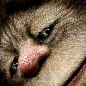 Foto Onde Vivem os Monstros