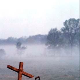Foto Uma Noite Alucinante - A Morte do Demônio