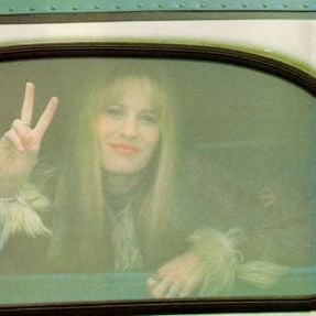 Foto Forrest Gump - O Contador de Histórias