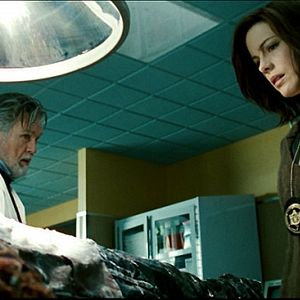 Foto Terror Na Antártida