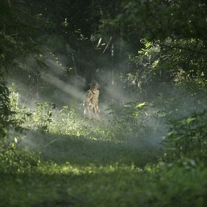 Foto Às Margens de um Crime