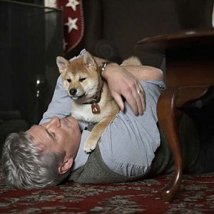 Foto Sempre ao Seu Lado