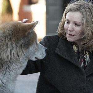 Foto Sempre ao Seu Lado