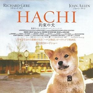 Foto Sempre ao Seu Lado