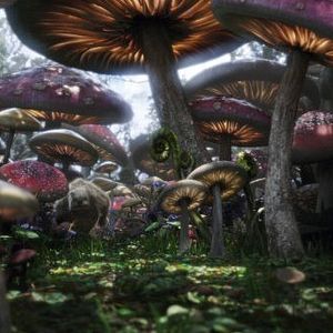 Foto Alice no País das Maravilhas