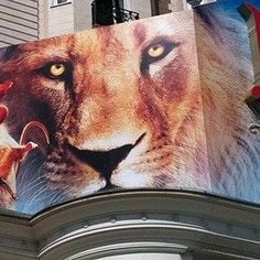 Foto As Crônicas de Nárnia - A Viagem do Peregrino da Alvorada