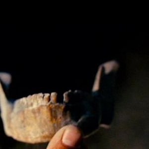 Foto O Limite do Medo