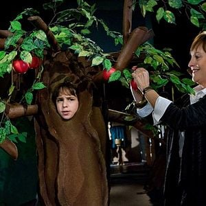 Foto Diário de um Banana