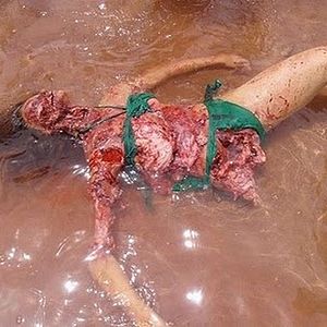 Foto Piranha 3D