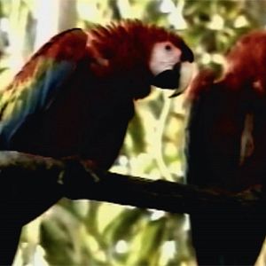 Foto Film Socialisme