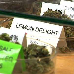 Foto Cortina de Fumaça