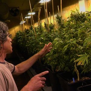 Foto Cortina de Fumaça