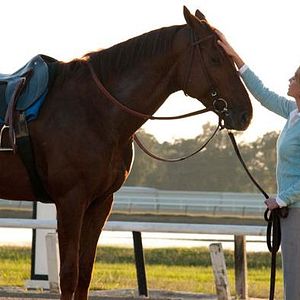Foto Secretariat - Uma História Impossível