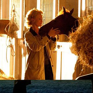 Foto Secretariat - Uma História Impossível