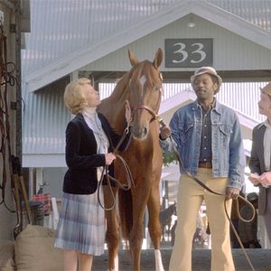 Foto Secretariat - Uma História Impossível