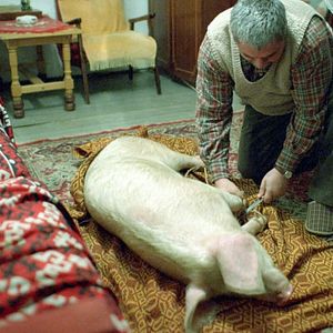 Foto Contos da Era Dourada