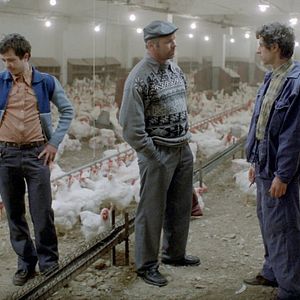 Foto Contos da Era Dourada