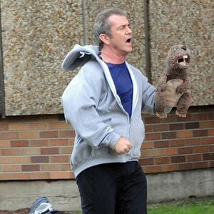 Foto Um Novo Despertar