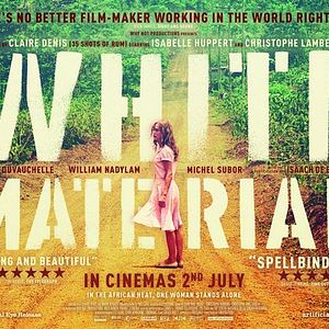 Foto Minha Terra, África