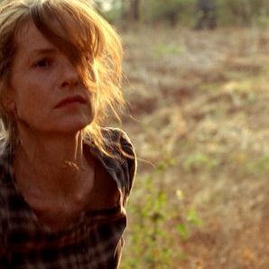 Foto Minha Terra, África