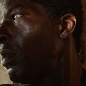 Foto Minha Terra, África