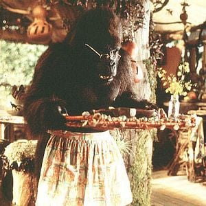 Foto George, o Rei da Floresta