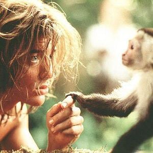 Foto George, o Rei da Floresta