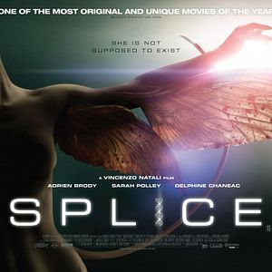 Foto Splice - A Nova Espécie