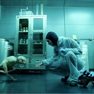 Foto Splice - A Nova Espécie