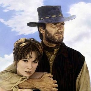 Foto Os Abutres têm Fome