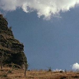 Foto Os Abutres têm Fome