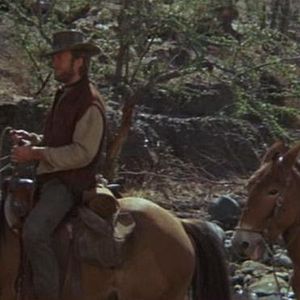 Foto Os Abutres têm Fome