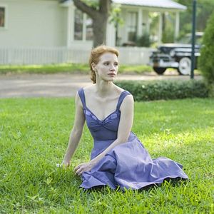 Foto A Árvore da Vida