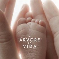 Foto A Árvore da Vida