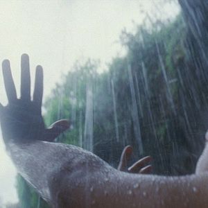 Foto A Árvore da Vida